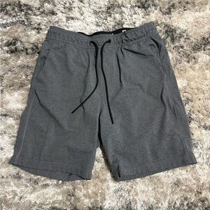 American Eagle Outfitters Men's Gray Athletic Drawstring Shorts